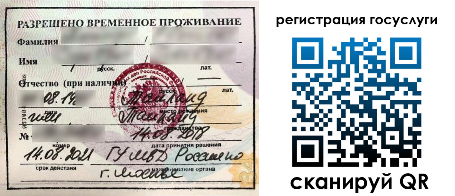 прописка в Оленегорске